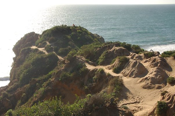 DSC 3028