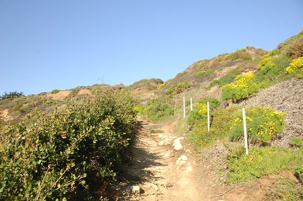 DSC 2955