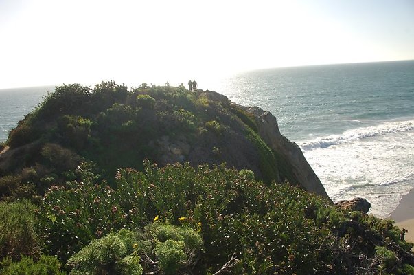 DSC 3081
