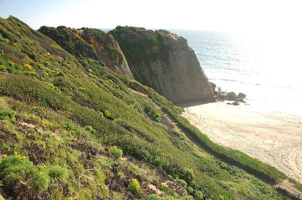 DSC 2969