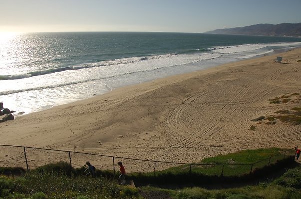 DSC 2961
