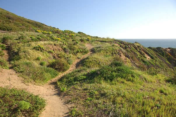 DSC 3013