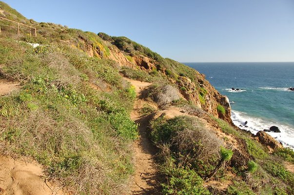 DSC 3039