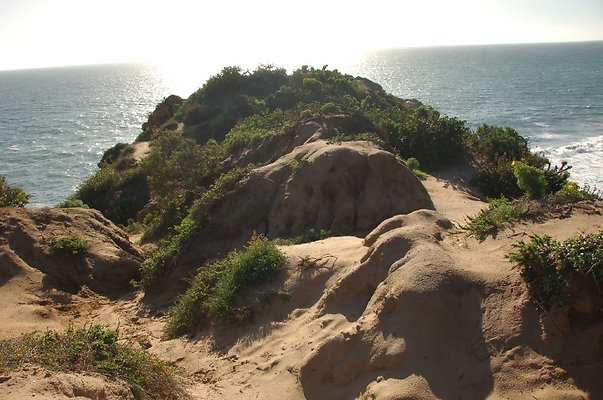 DSC 3069