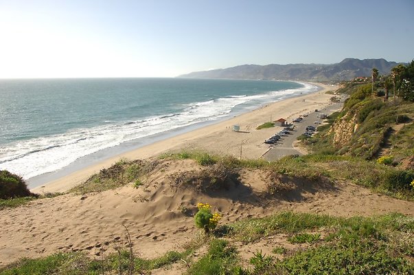 DSC 3016
