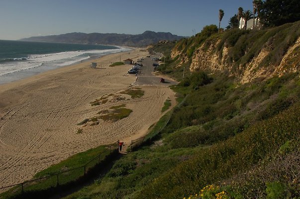 DSC 2962