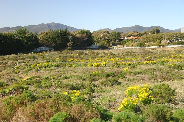 DSC 3021