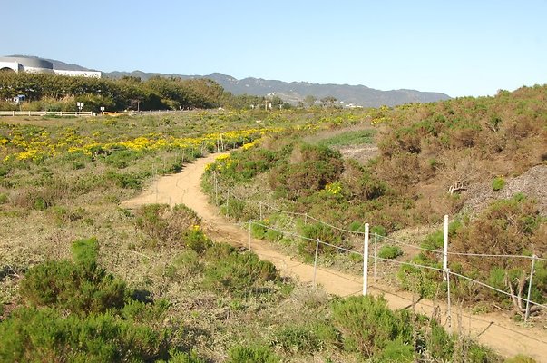 DSC 3022