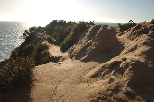 DSC 3068