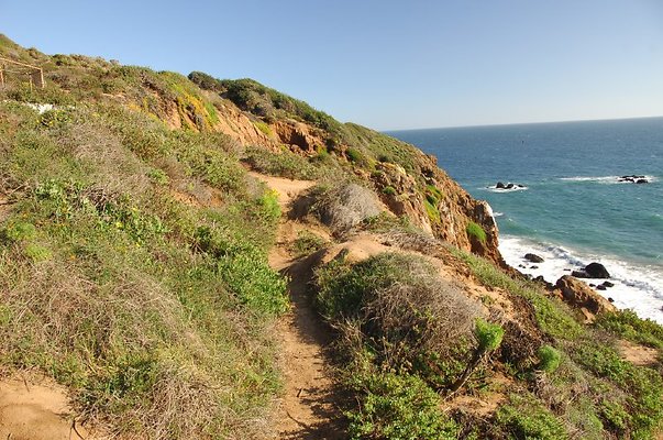 DSC 3037