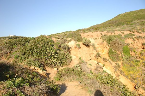 DSC 3117