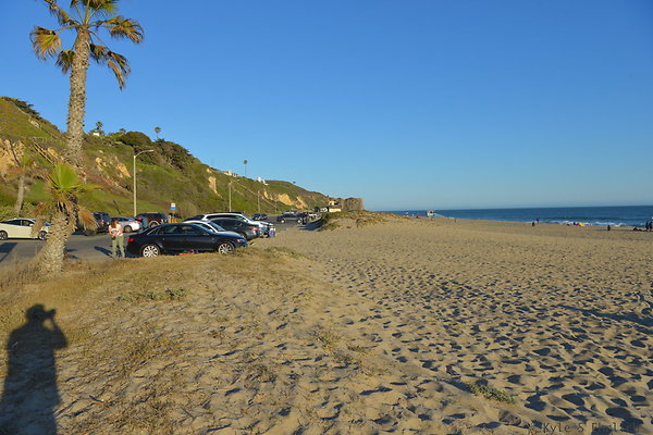 DSC 7482