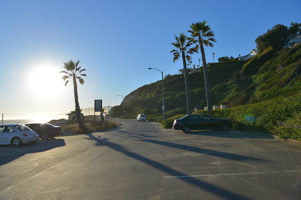 DSC 7503