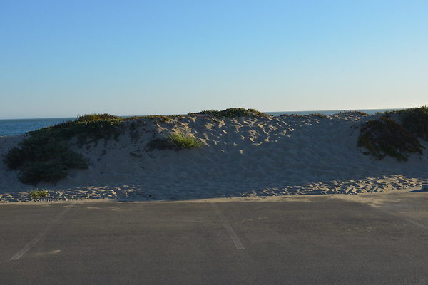 DSC 7495