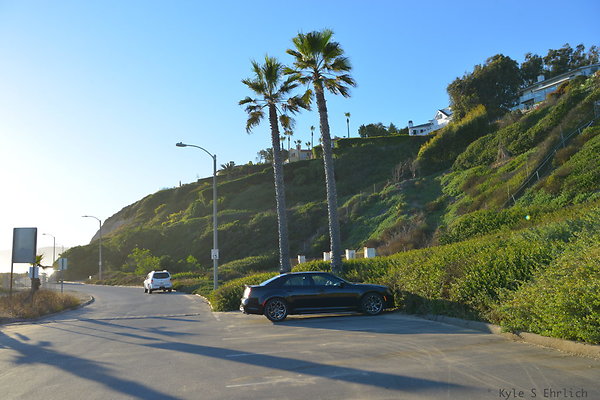 DSC 7502