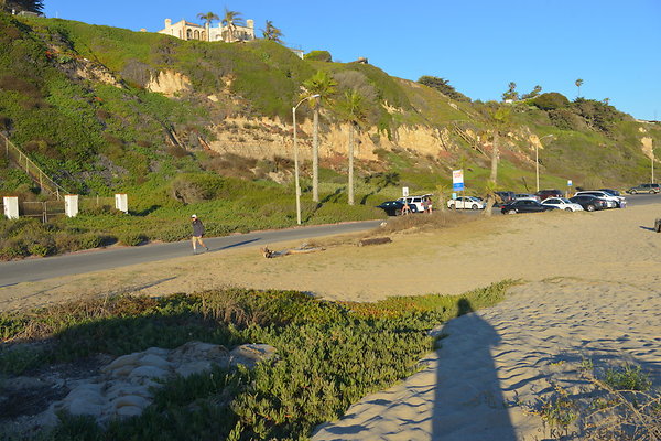 DSC 7478