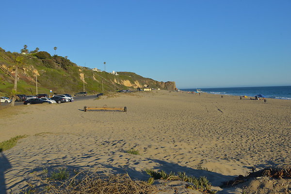 DSC 7479