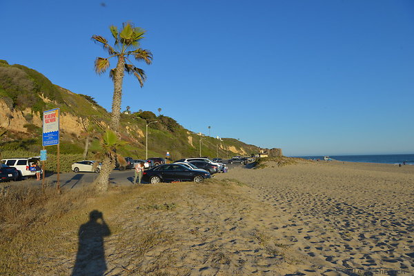 DSC 7483