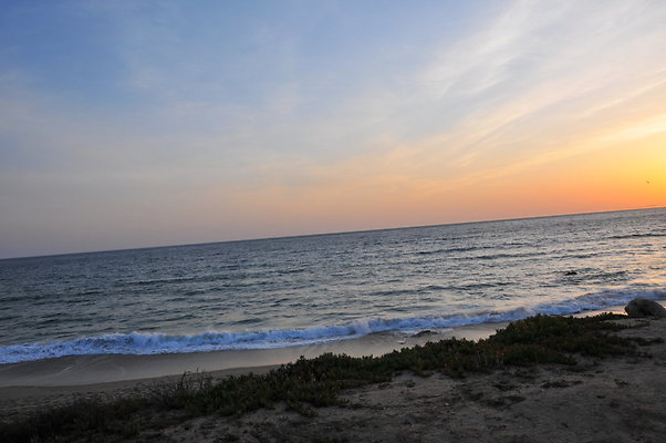 DSC 1192