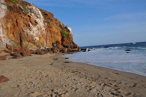 DSC 0913