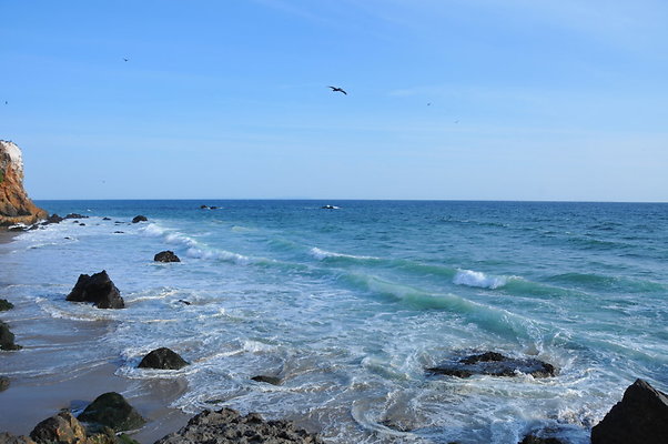 DSC 0897