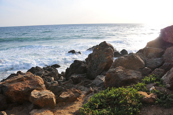 DSC 0957