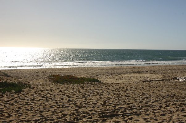 DSC 2903