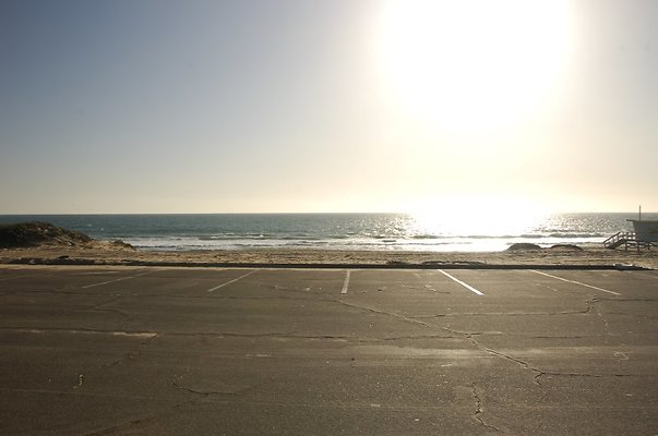 DSC 3145