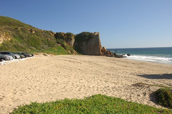 DSC 2825