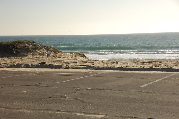 DSC 3151