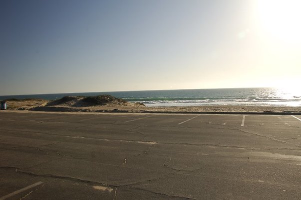 DSC 3152
