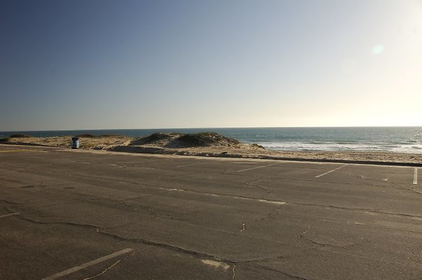 DSC 3144