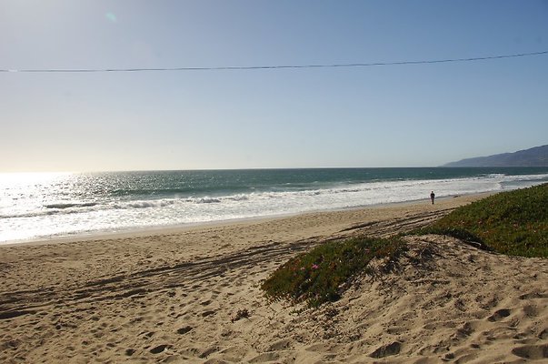 DSC 2835