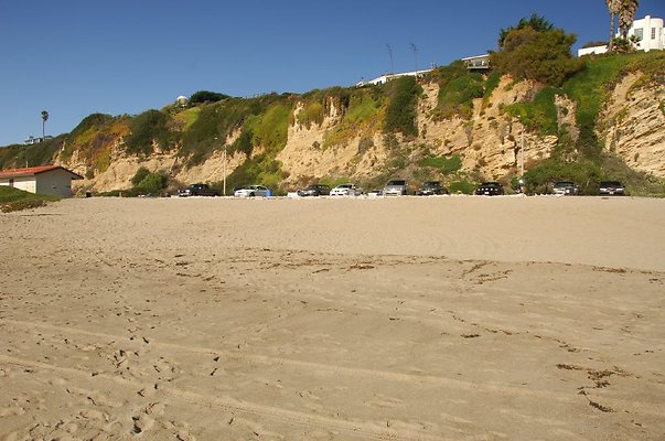 DSC 2861