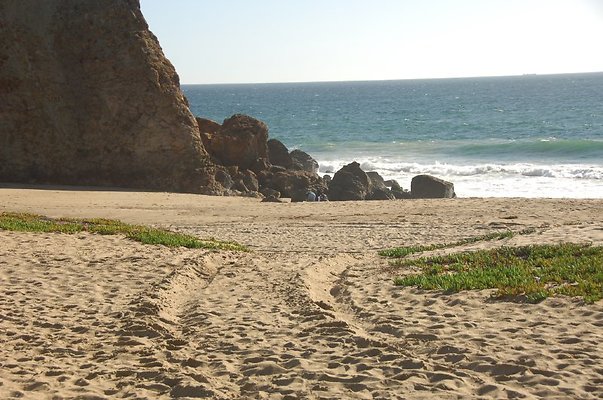 DSC 2899