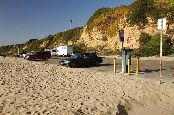 DSC 3129