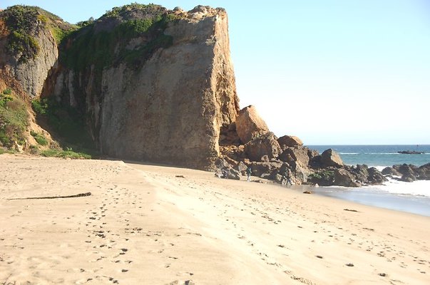 DSC 2846