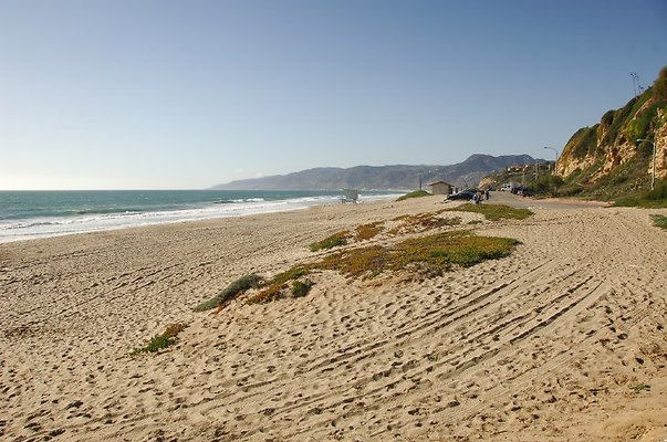 DSC 2925