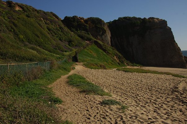 DSC 2895