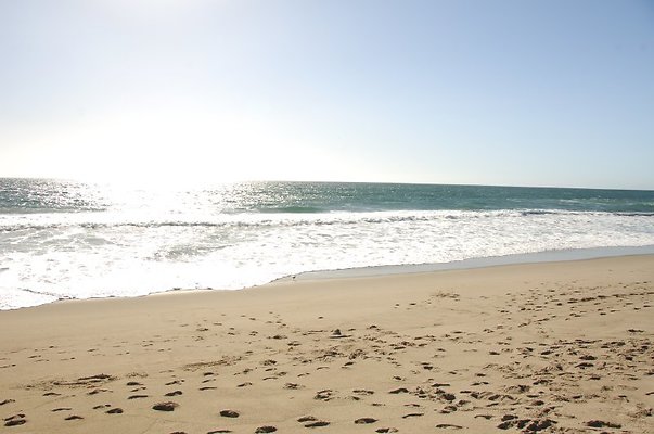 DSC 2859