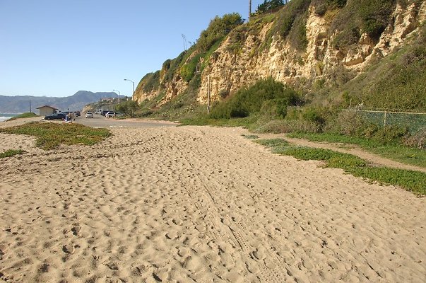 DSC 2910