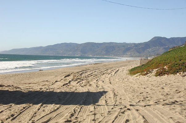 DSC 2839