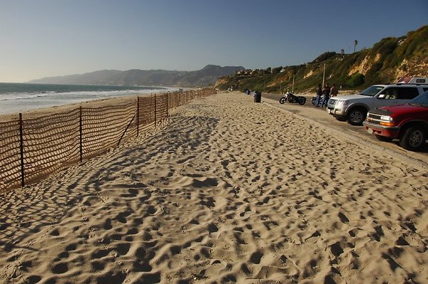 DSC 3137