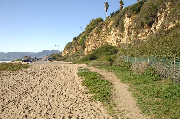 DSC 2917