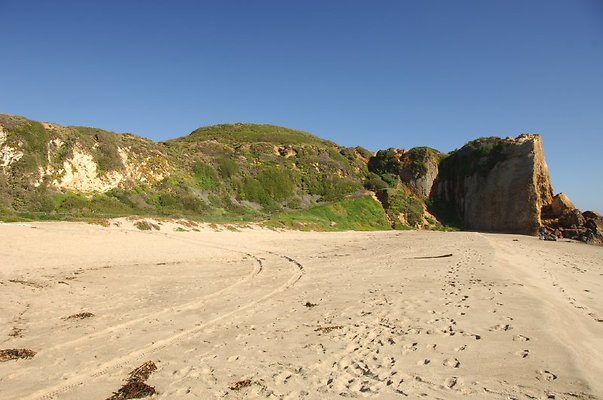 DSC 2867