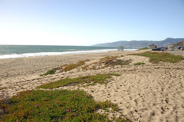 DSC 2909
