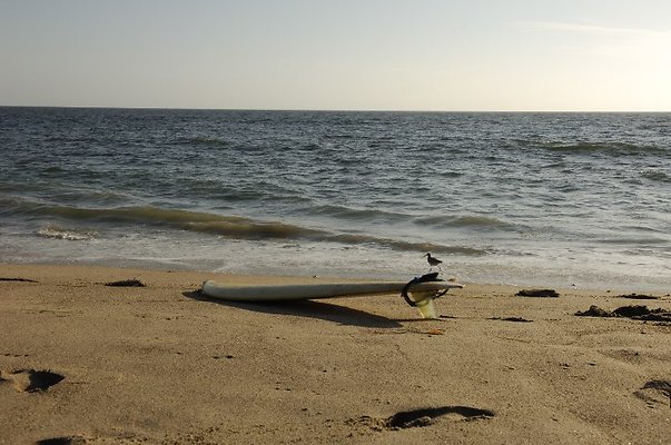  DSC5457