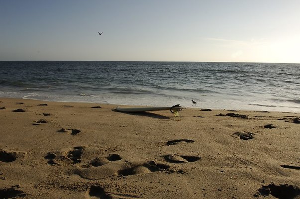  DSC5456