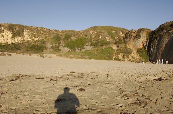  DSC5477