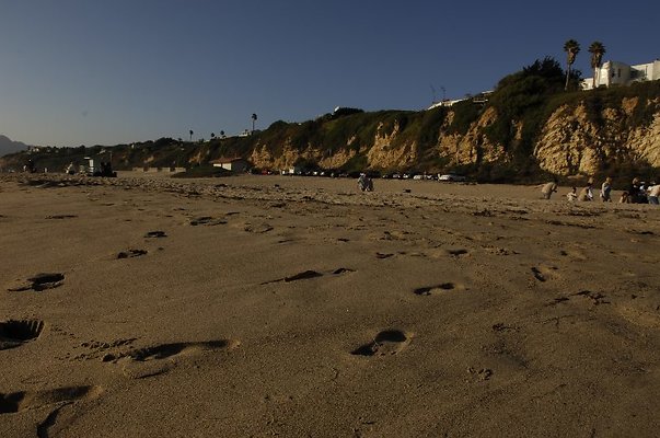  DSC5463